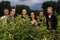 Photo from Official Site The Horse Flies