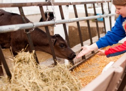 Haag Family Farm